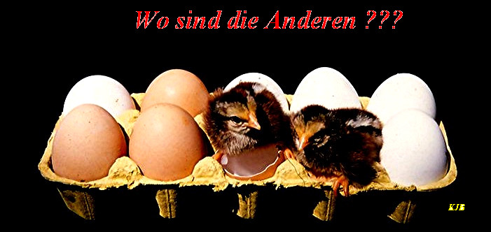 Wo sind die Anderen ?