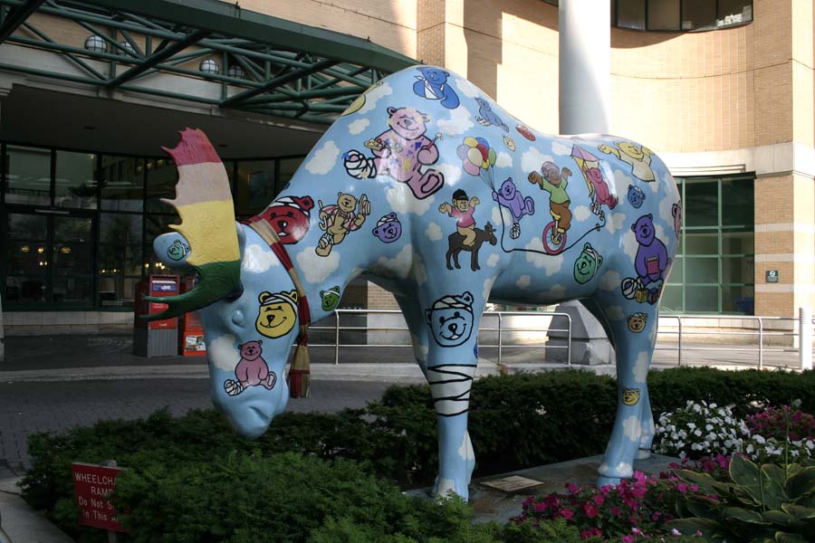 Wo sind die Blumen geblieben? Foto & Bild | quatsch, fun und rätselecke