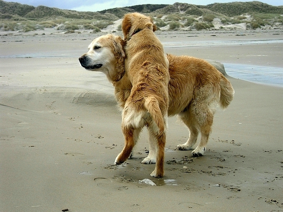 Wo sind die nackten Weiber