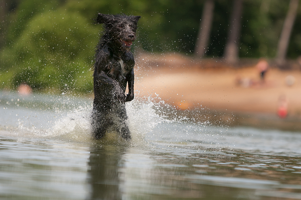 Wo sind meine Jetski…. :-)))