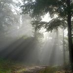 Wo Sonne sich und Nebel küssen...