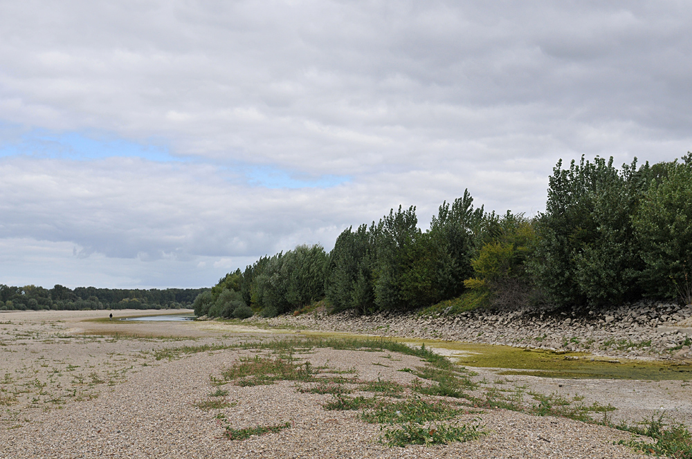 Wo sonst der Rhein fließt 02