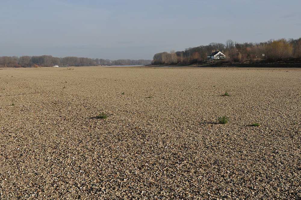 Wo sonst der Rhein fließt 03