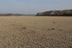 Wo sonst der Rhein fließt 03