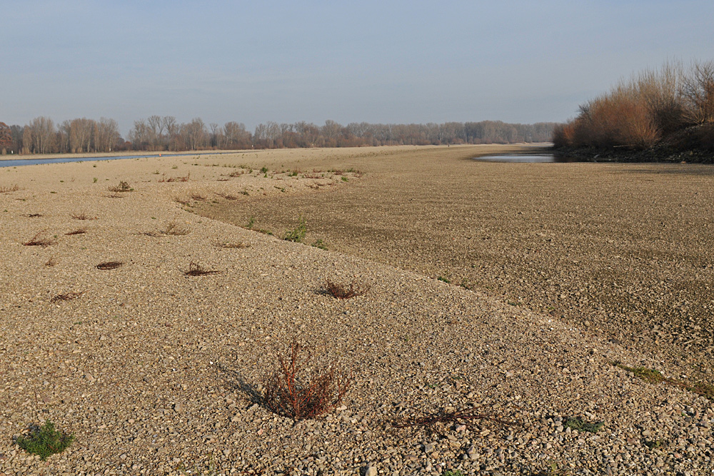 Wo sonst der Rhein fließt 05