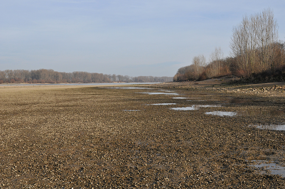 Wo sonst der Rhein fließt 07