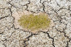 Wo sonst der Rhein fließt 11