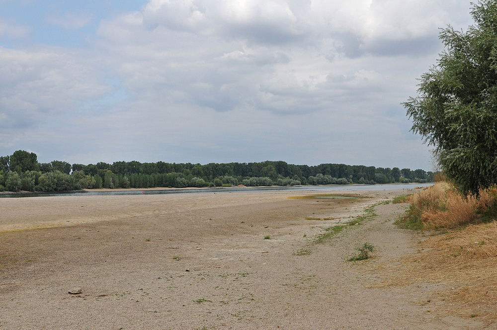 Wo sonst der Rhein fließt 13