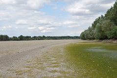 Wo sonst der Rhein fließt 14