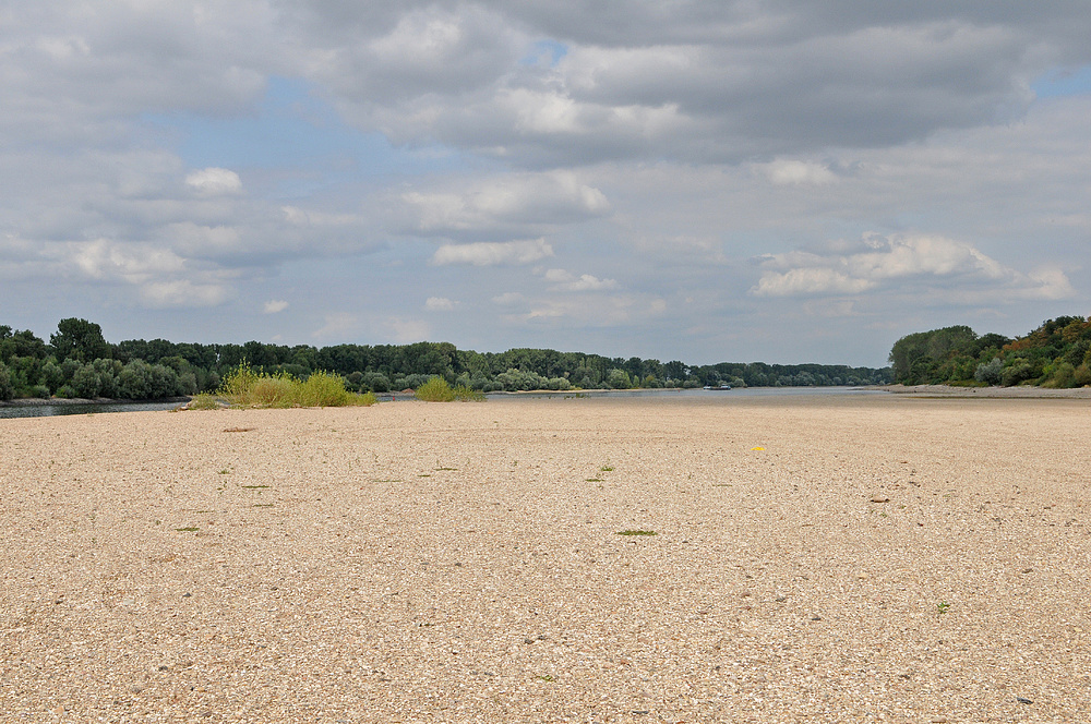 Wo sonst der Rhein fließt – Auf der Sandbank