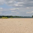 Wo sonst der Rhein fließt – Auf der Sandbank