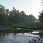 Wo sonst die Modau in den Stockstädter Altrhein strömt 02