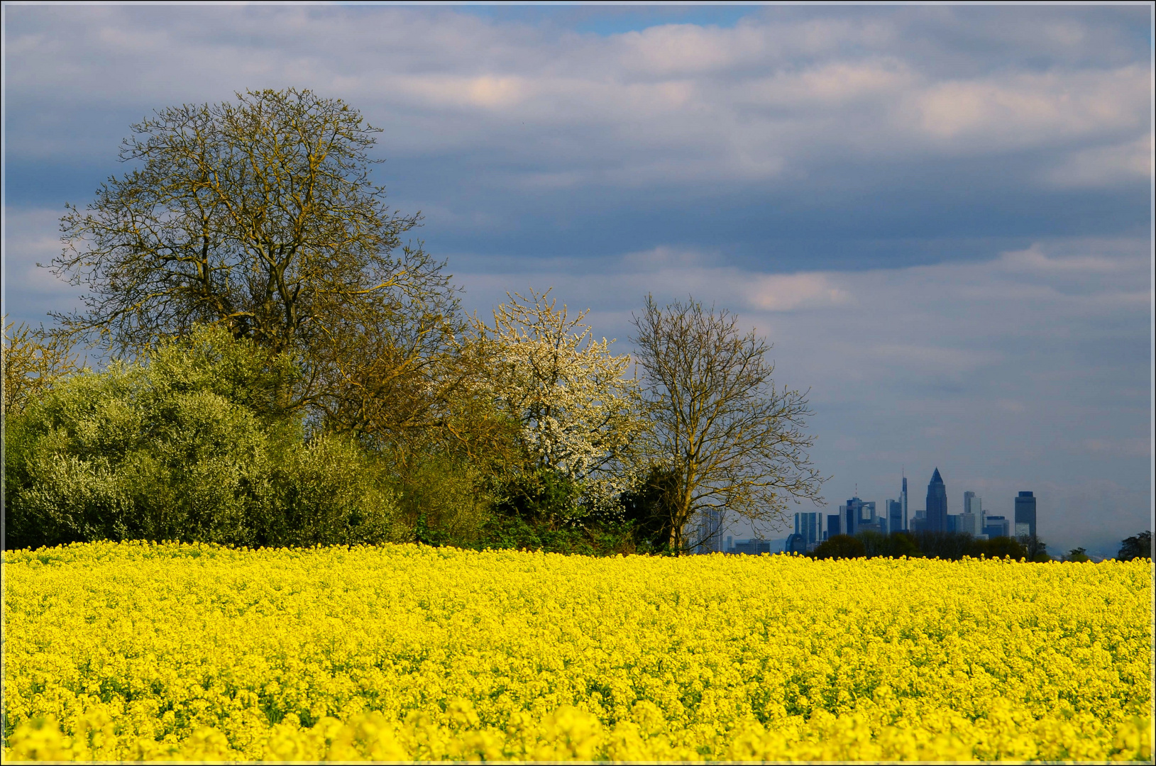 Wo Stadt und Land sich berühren