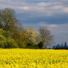 Wo Stadt und Land sich berühren