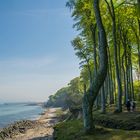 Wo Trost und Leid zerfließen