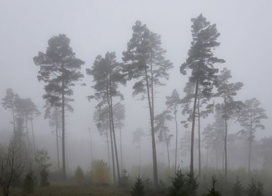 Wo Verschwinden sich verliert