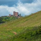 Wo Wein und Burgen in den Himmel wachsen ...