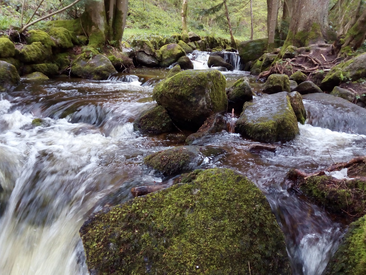 Wo wilde Wasser rauschen