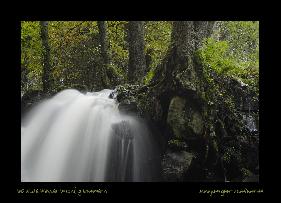 wo wilde Wasser wuchtig wummern