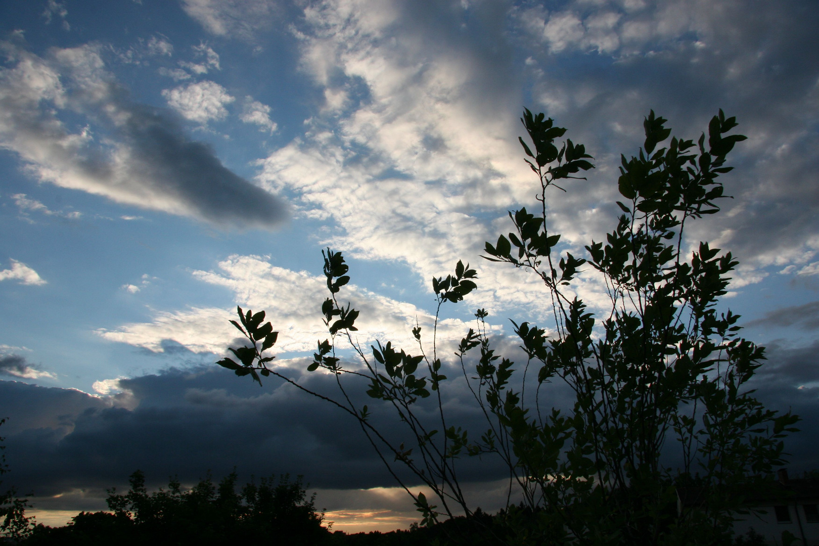 Wo ... Wo ... Wolken