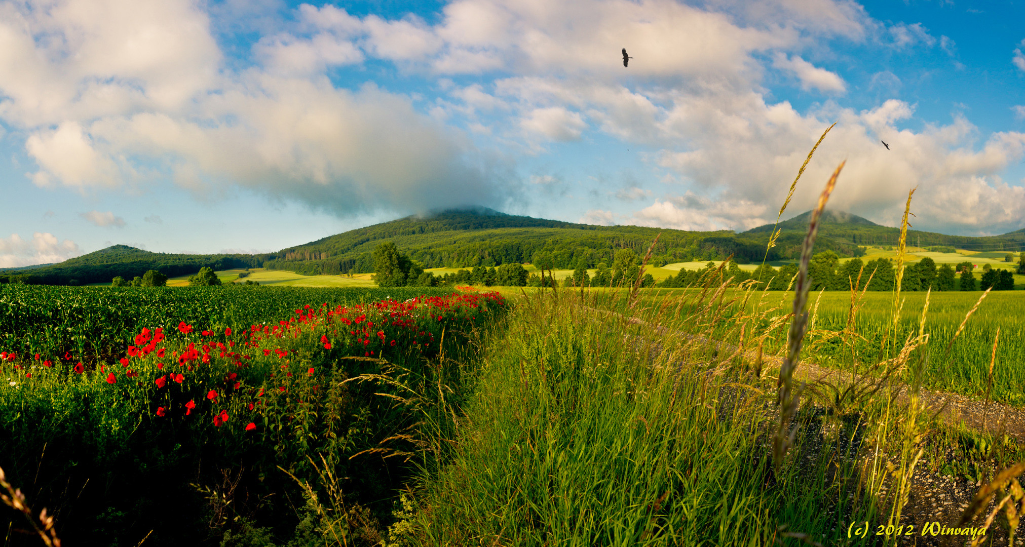 Wo Wolken Berge küssen...