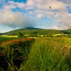 Wo Wolken Berge küssen...