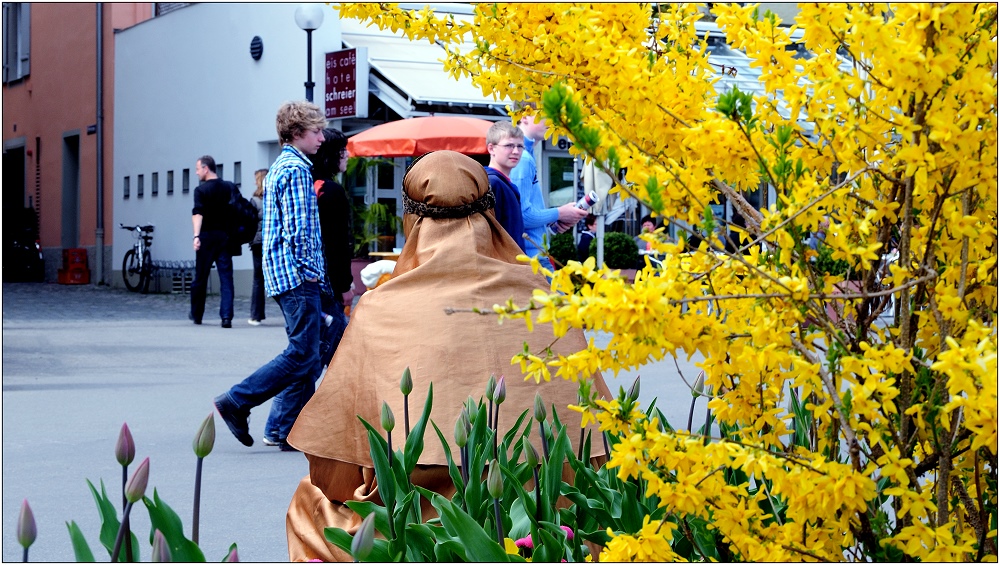 ... woanders ist gerade Frühling ...