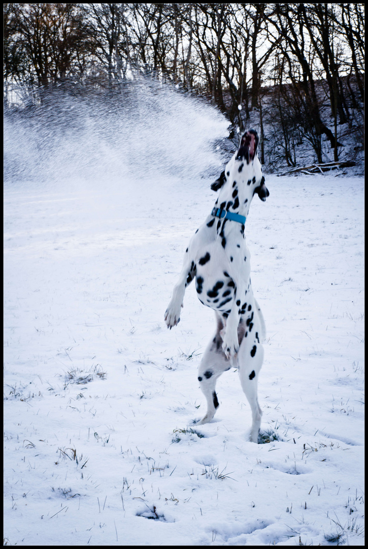 Woche 06 - Schnee!