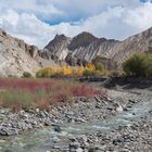 Woche 40: Auch in Ladakh ist nun der Herbst eingezogen - es ist bereits empfindlich kalt