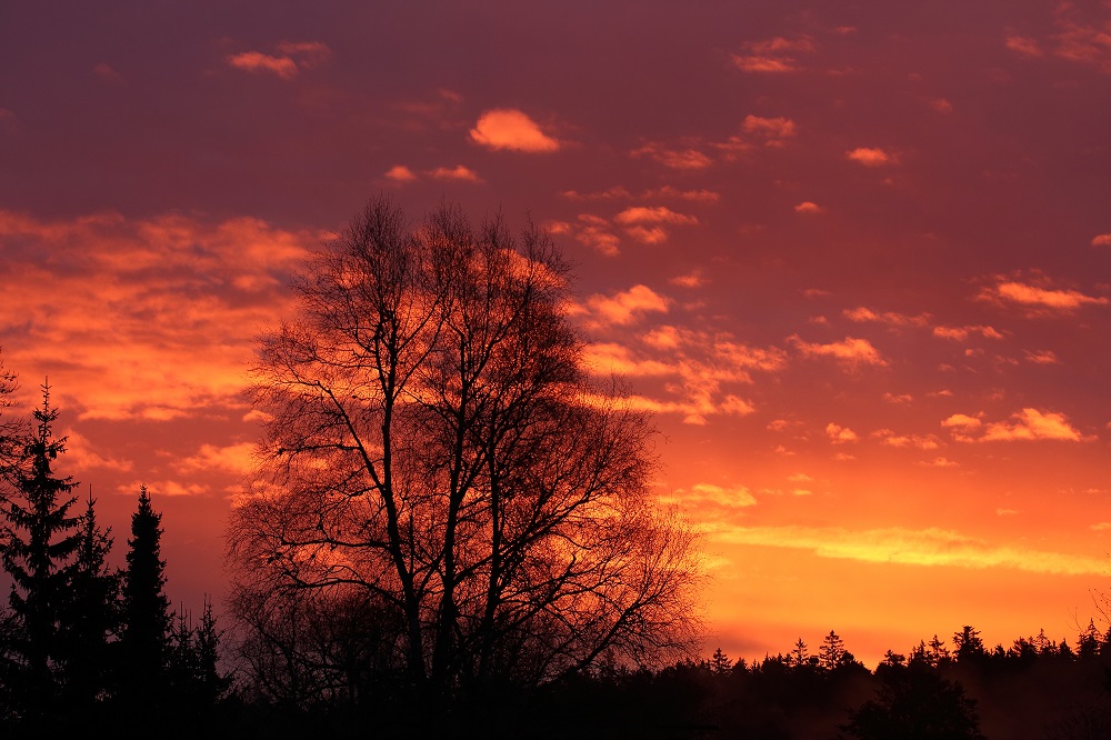 Wochenbeginn zum Staunen