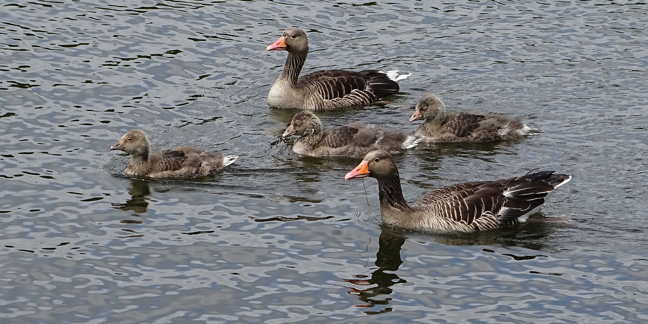 Wochenend-Ausflug 