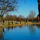 Wochenend-Idylle am Fischweiher