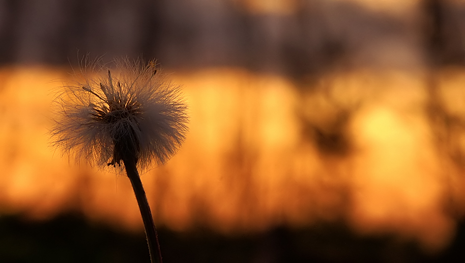 * Wochenend und Sonnenschein *