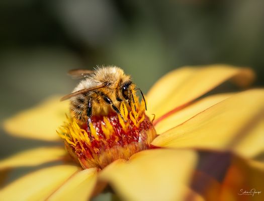 Wochenend und Sonnenschein