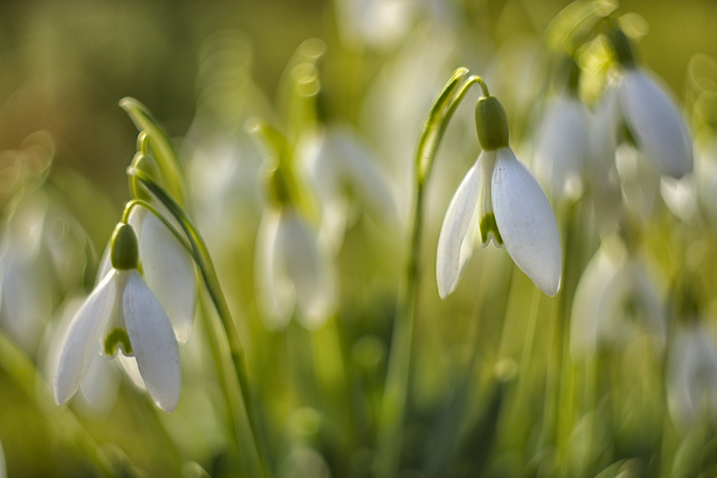 Wochenend und Sonnenschein