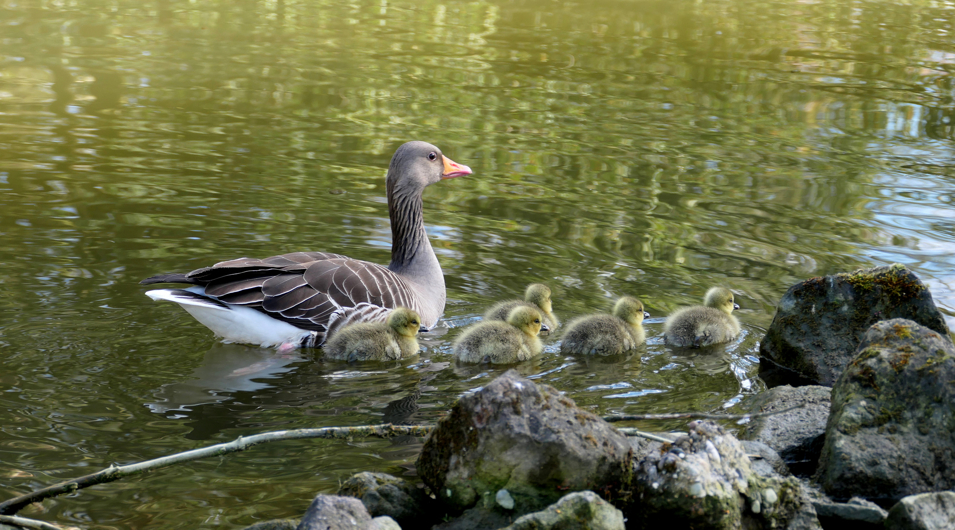 Wochenendausflug