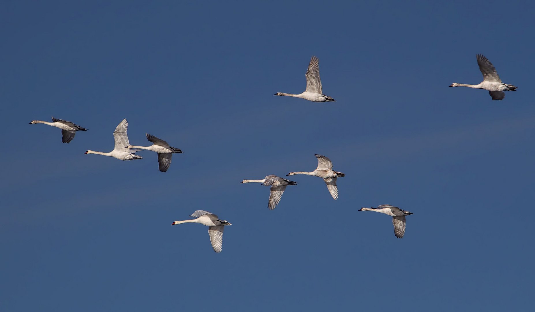 Wochenendausflug... in Sicht