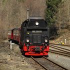 Wochenendausflug mit der HSB nach Eisfelder Talmühle 4.