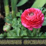 Wochenendblümchen