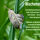 Wochenende