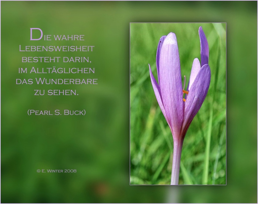 ~ Wochenende .....