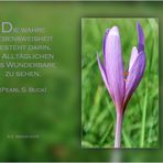 ~ Wochenende .....