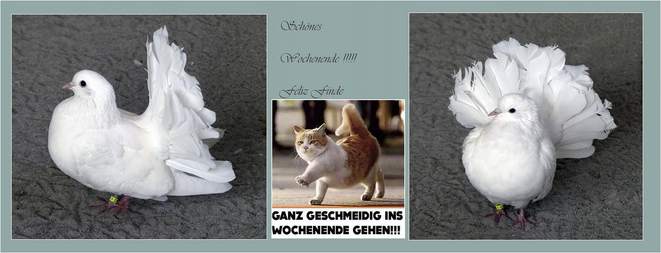 Wochenende 