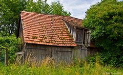 Wochenendhaus zu vermieten