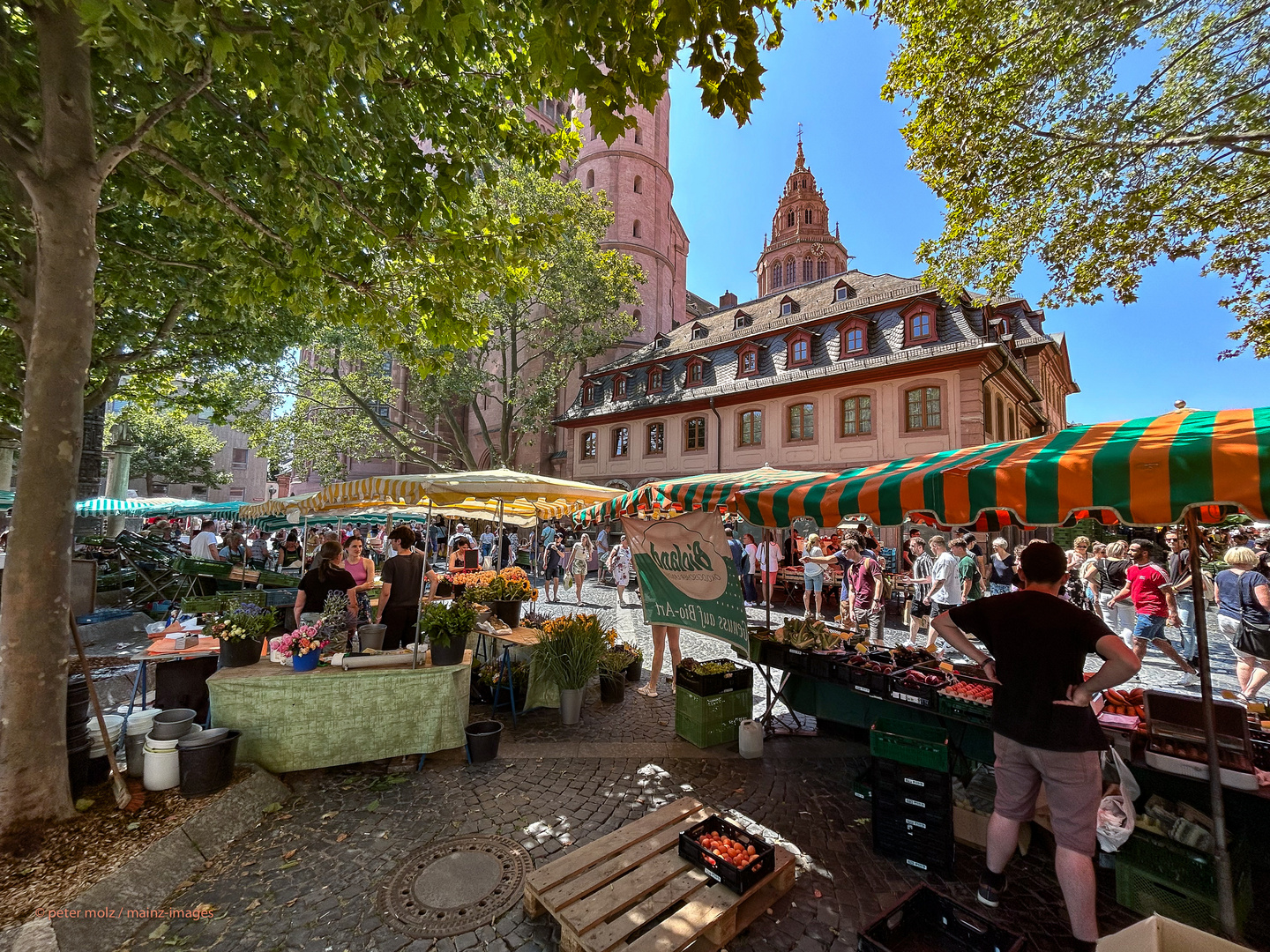 Wochenmarkt auf dem Liebfrauenplatz | Mainz