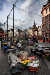 Wochenmarkt auf dem Marktplatz - Mainz Januar 2023