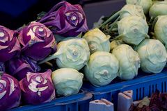 Wochenmarkt - blauer und weißer Kohlrabi