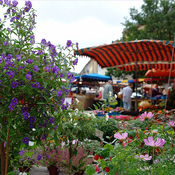 Wochenmarkt Bruchsal 03