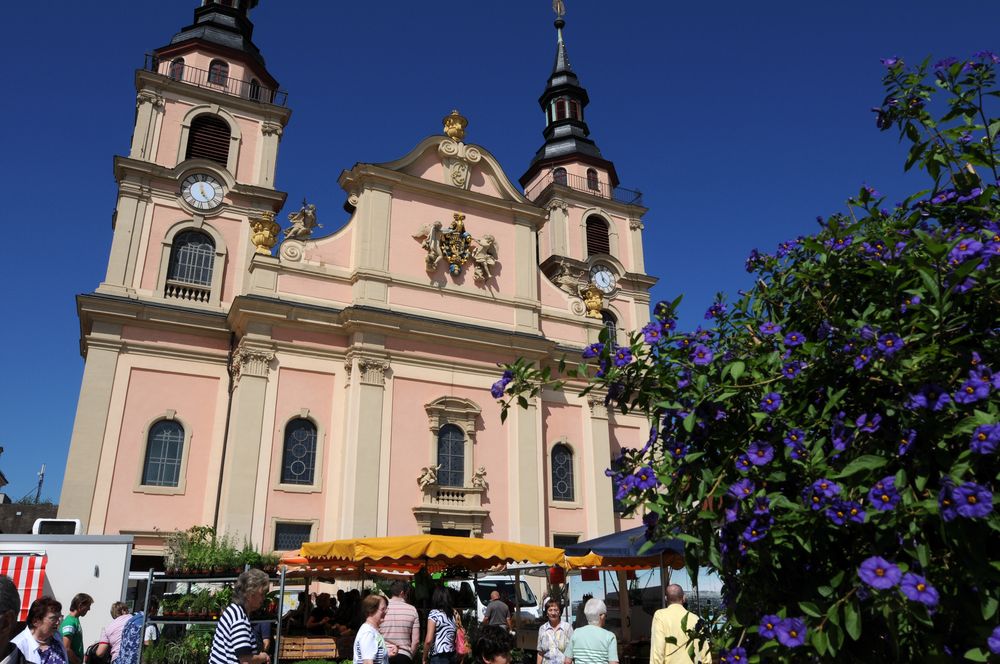 Wochenmarkt im Sommer...