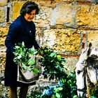 Wochenmarkt in Kalamata.  ..DSC_6976